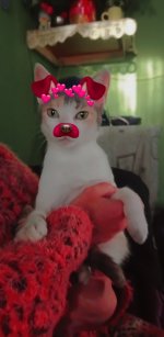 Snapchat-382583918.jpg Snapchat-382583918.jpg